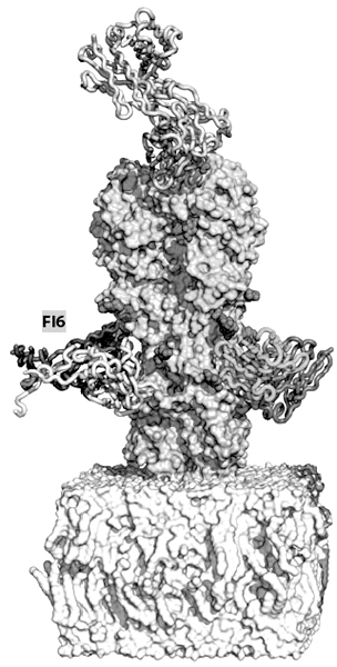 点击这里用新窗口浏览图片