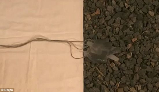 点击这里用新窗口浏览图片