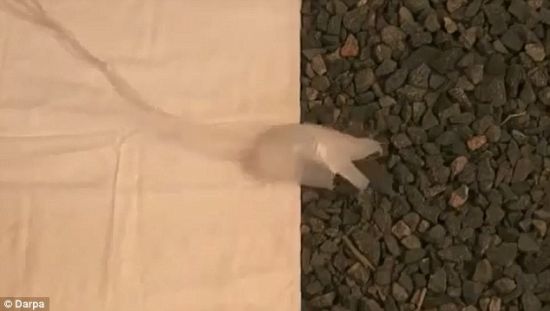 点击这里用新窗口浏览图片