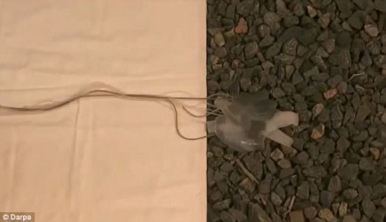 点击这里用新窗口浏览图片