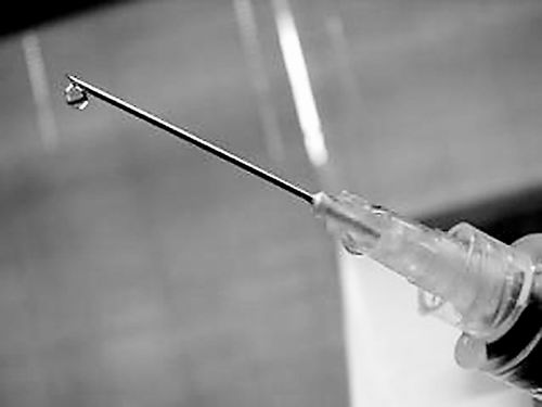 点击这里用新窗口浏览图片