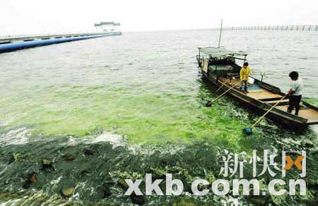 点击这里用新窗口浏览图片